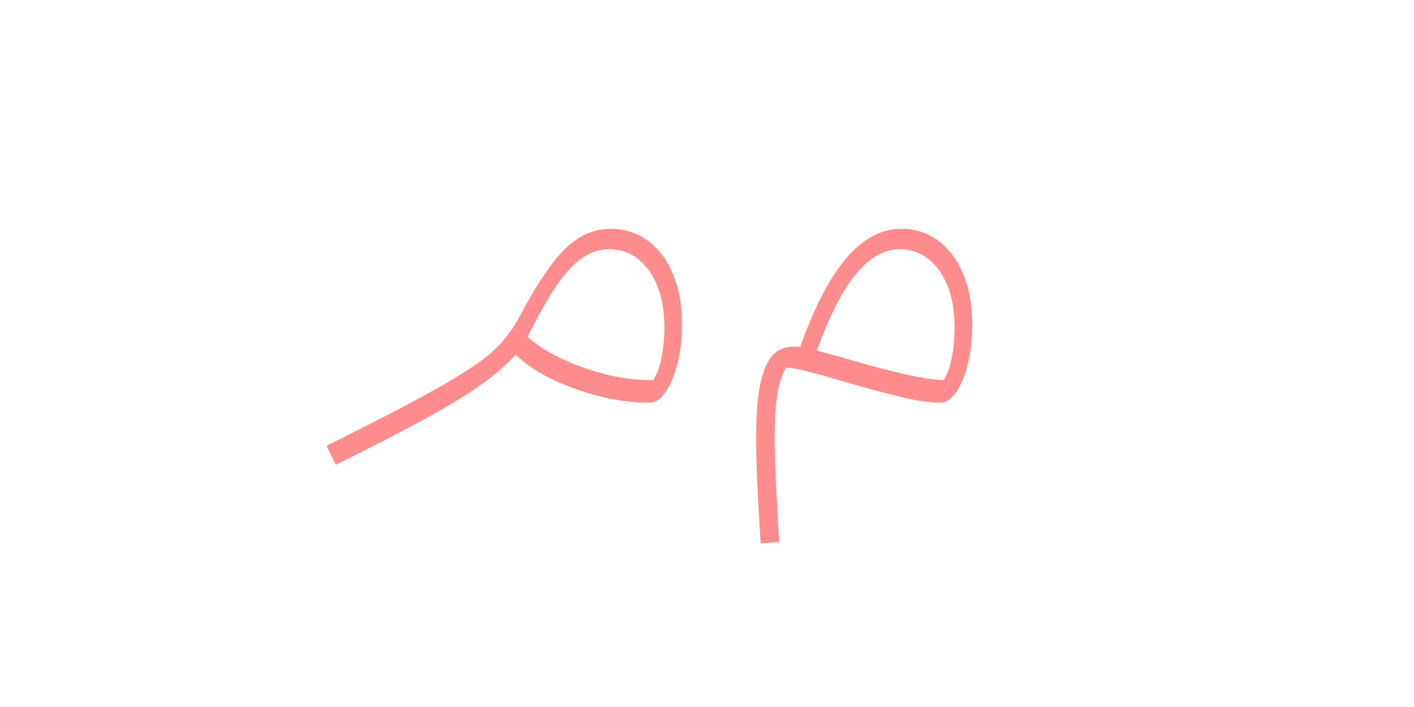 فونت راوی